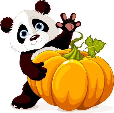 hasat panda