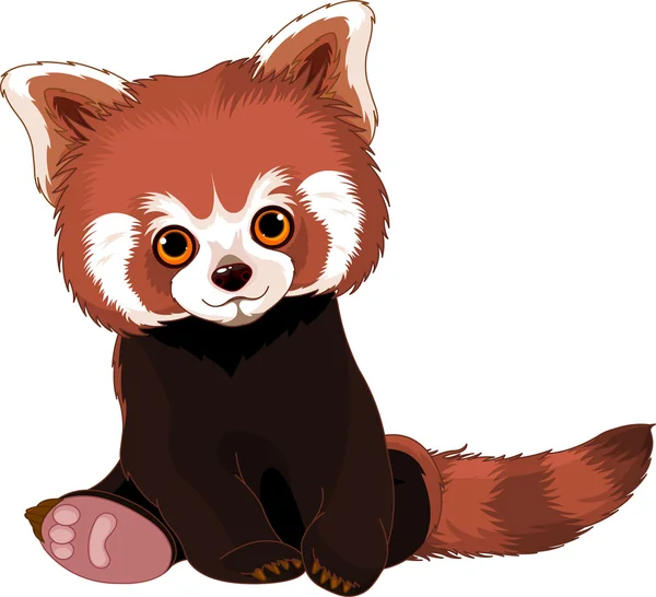 Cute Red Panda — Stock Vector