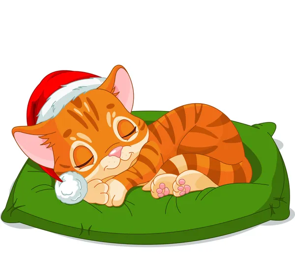 Vánoční kotě spí — Stockový vektor