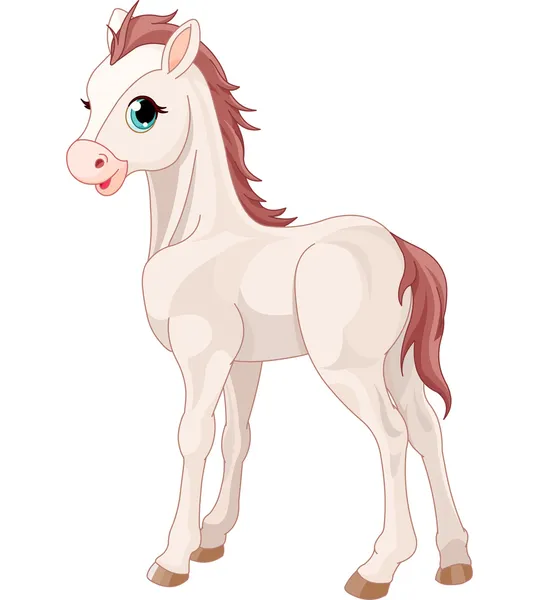 Horse foal — Stock Vector