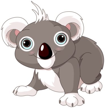 şirin koala