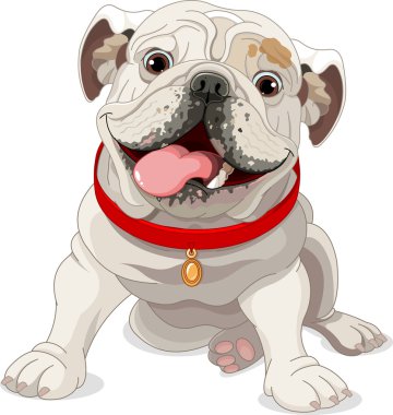 İngilizce Bulldog