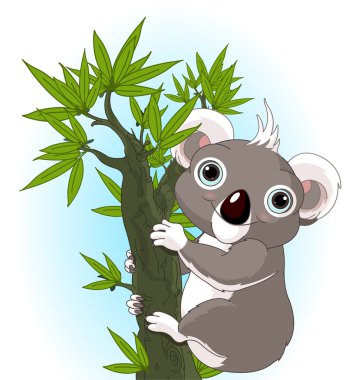 bir ağaç üzerinde şirin koala