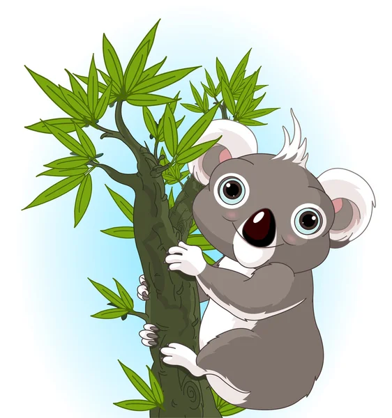Cute koala on a tree — Stock Vector