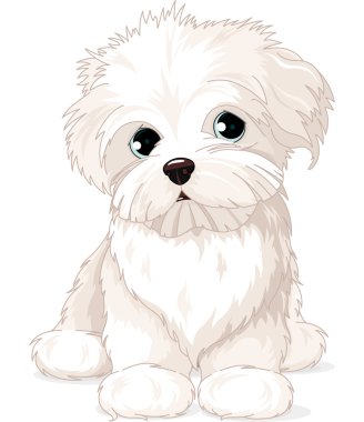 Maltese Puppy Dog clipart