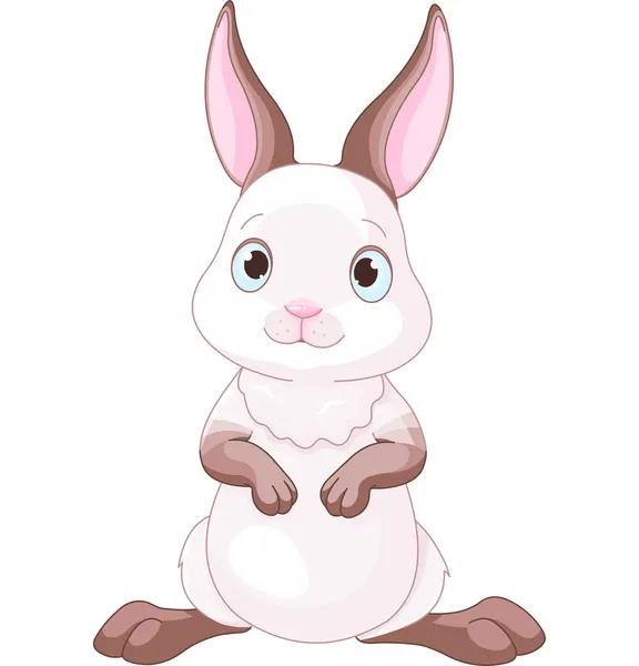 Cute Bunny — Stock Vector