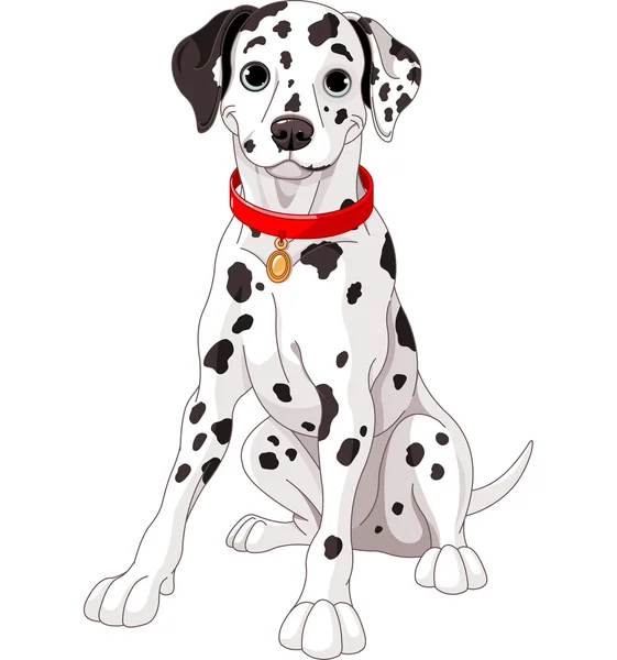 Bonito cão dalmatian — Vetor de Stock