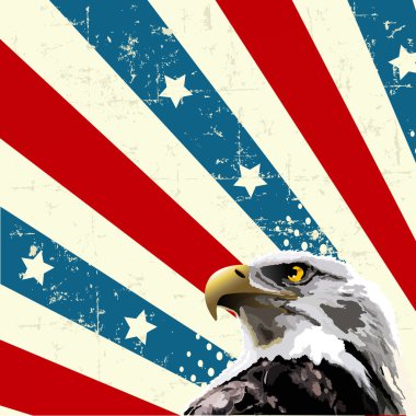 Amerikan bayrağı önünde kel kartal.