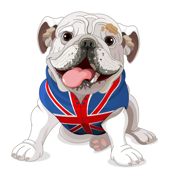 Bulldog inglés con abrigo — Archivo Imágenes Vectoriales