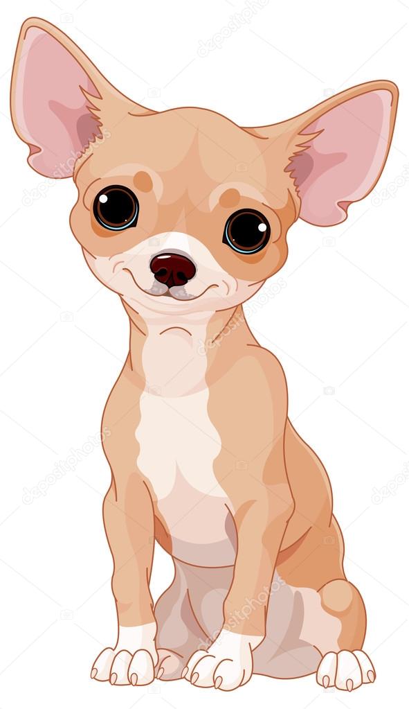 Chihuahua dibujos animados imágenes de stock de arte vectorial |  Depositphotos