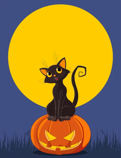 Gato está sentado en la calabaza de Halloween — Archivo Imágenes Vectoriales