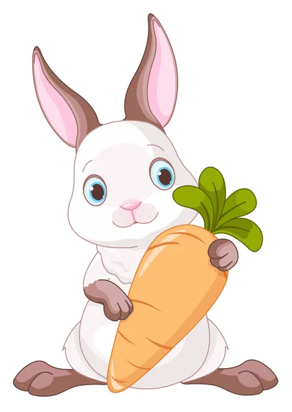 Bunny holding a large carrot. — Stockvector