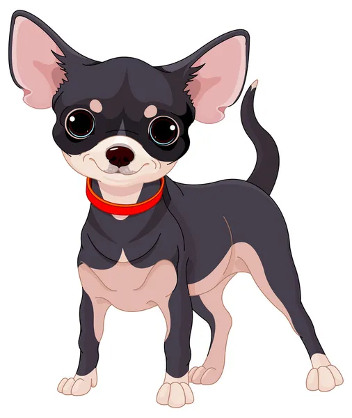 Chihuahua juguetona — Vector de stock