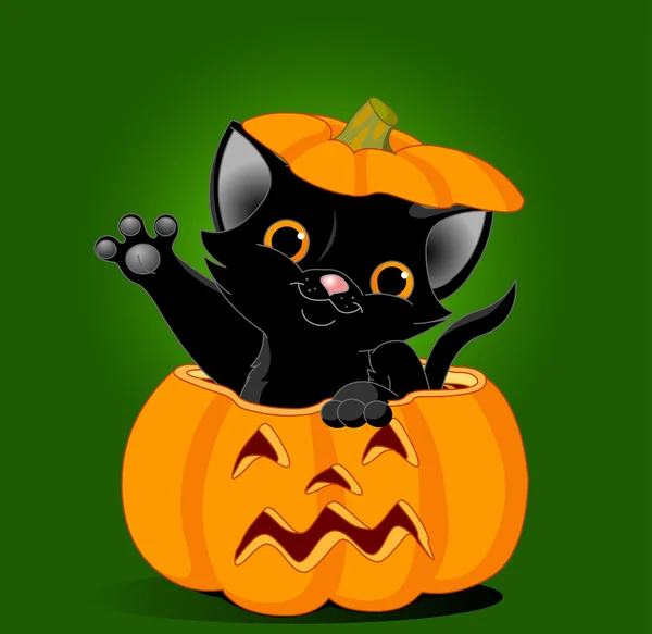 Gatito negro saltando de calabaza — Archivo Imágenes Vectoriales