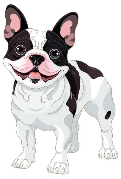 French bulldog — Stock Vector