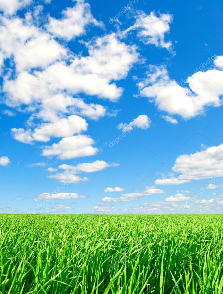 Background - summer, nature, vertically. — Stock Photo © rrraum #14973379, image size:778x1024