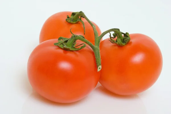 Tomatoes on a branch. — Stock Photo, Image