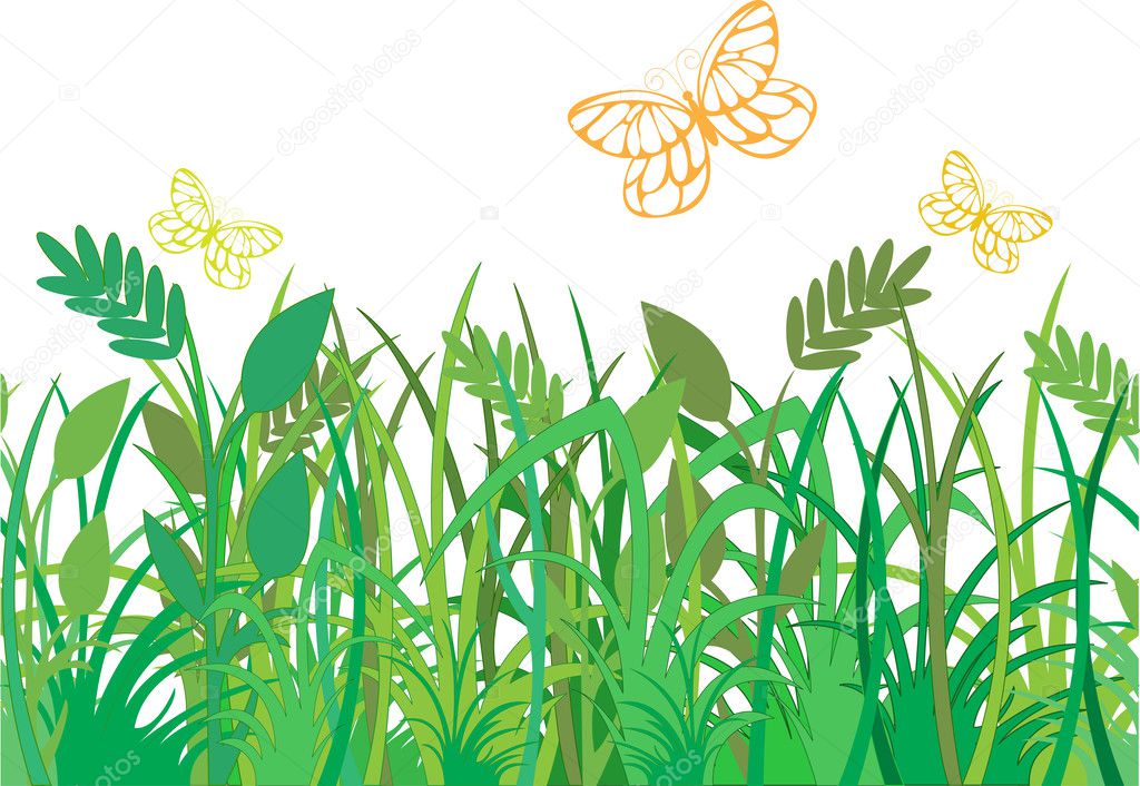 green grass with butterflies