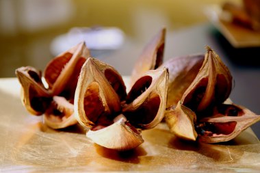 Kuru tropikal meyve ile soyut resim