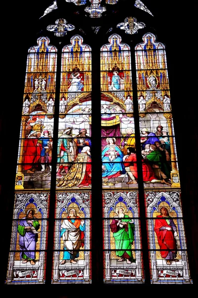 Kirchenfenster des Kölner Doms — Stockfoto