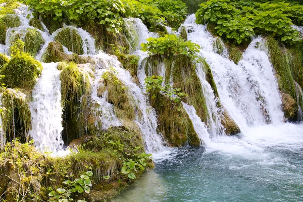 Mini waterfalls on Plitvice laiks — Stock Photo, Image