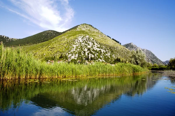 Neretva river delta in Croatia — Stock Photo, Image