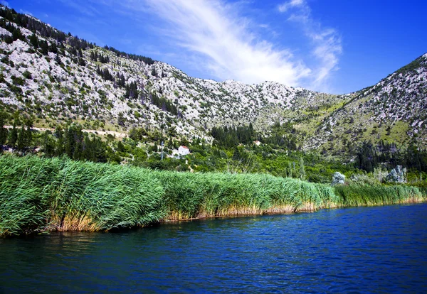 Neretva river delta in Croatia — Stock Photo, Image