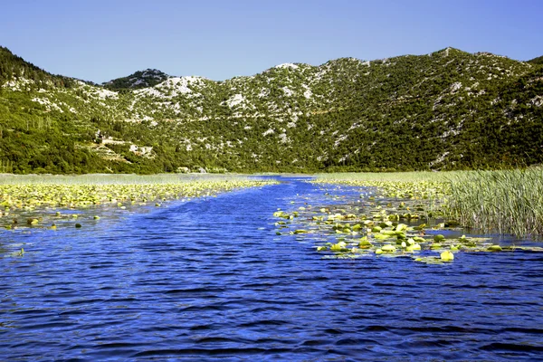 Neretva floddelta i Kroatien — Stockfoto