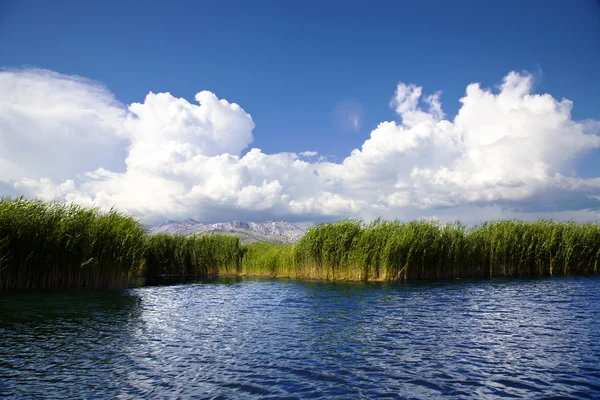 Neretva river delta in Croatia — Stock Photo, Image