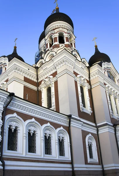 A cathedral of Alexander Nevskiy — Stock Photo, Image