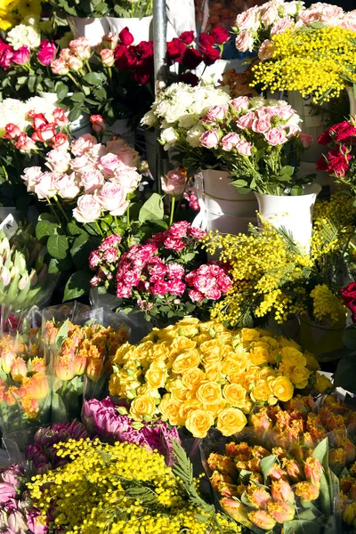 Floral market before spring holidays — Stock Photo, Image