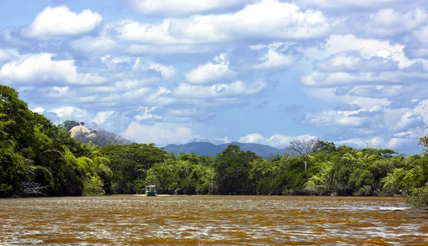 O Parque Nacional Palo Verde na Costa Rica — Fotografia de Stock