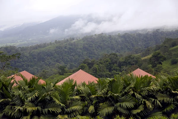 Kosta Rika arenal yanardağ eteklerinde, yağmur ormanları — Stok fotoğraf