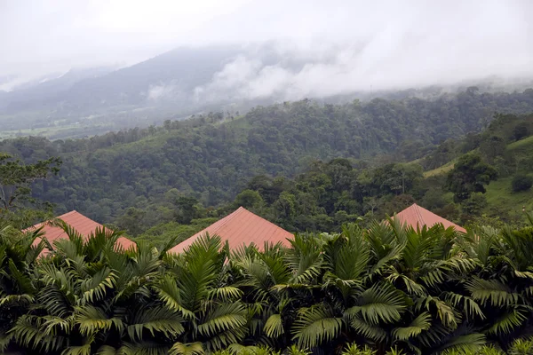 Foresta pluviale ai piedi del vulcano Arenal in Costa Rica — Foto Stock