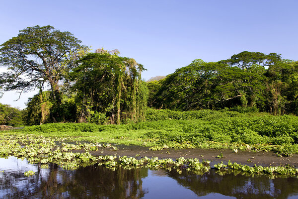 Прекрасный пейзаж береговой линии Никарагуа
