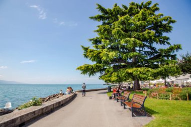 SWitness ZERLAND, VEVEY, AĞUSTOS, 2021 - Vevey 'de Cenevre Gölü kıyıları, Vaud kantonu, İsviçre