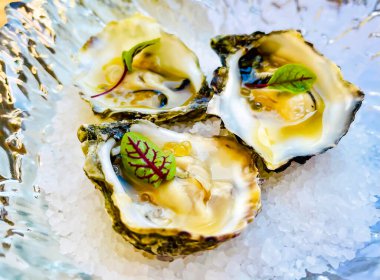 Buzlu havyarlı üç istiridye kabuğu. Sağlıklı deniz ürünleri. Restoranda taze istiridye yemeği. Gurme yemekleri..