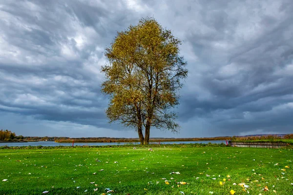 Burzliwe Niebo Nad Samotnym Drzewem Polu Golfowym Pięknym Zielonym Trawnikiem — Zdjęcie stockowe