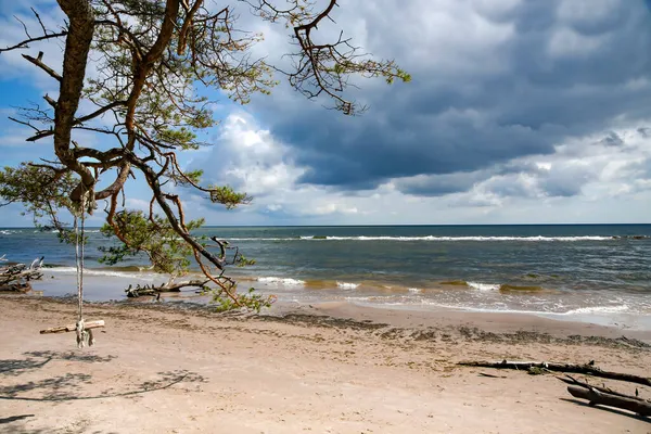 科尔卡角的野生海岸 树上的树木在波罗的海沿岸经历了一场风暴后已经倒下 科尔卡角 拉脱维亚波罗的海和里加湾的会合点 — 图库照片