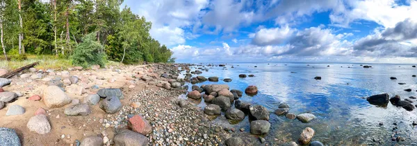波罗的海沿岸卡尔特海滩的独特景观是由覆盖海岸的大石头和沙丘中生长的参天大树形成的 拉脱维亚 — 图库照片
