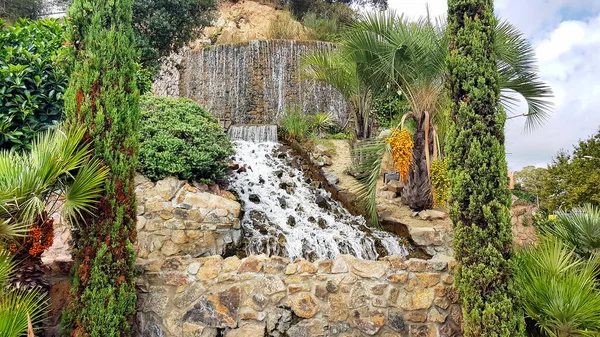 Malý Krásný Vodopád Tekoucí Přes Žluté Kameny Obklopený Palmami Cypřiši — Stock fotografie