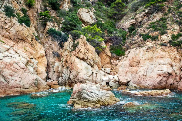 Rochas Selvagens Bonitas Com Árvores Coníferas Costa Mediterrânea Tossa Mar — Fotografia de Stock
