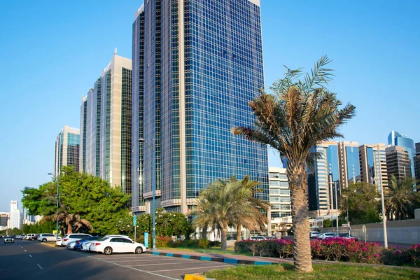 Оаэ Abu Dhabi Ноябрь 2021 Небоскрёбы Окружении Зеленого Парка Пальм — стоковое фото