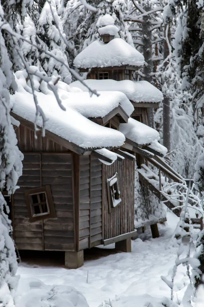 Kleines Holzhaus Mit Neuschnee Umgeben Von Hohen Kiefern Weihnachtsmanndorf Rovaniemi — Stockfoto
