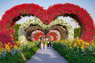 UAE, DUBAI, NOVEMBER, 2021 - Dubai Miracle Garden with fairy castles and with has over 45 million flowers.Miracle Garden is one of the main tourist attractions in Dubai, UAE