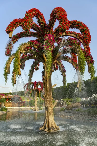 Uae Dubai November 2021 Dubai Miracle Garden Beautiful Flower Fountains — ストック写真