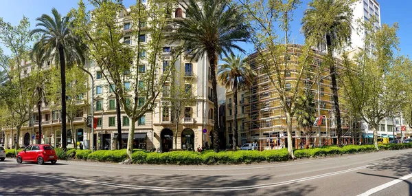 Espanha Barcelona Março 2021 Paisagismo Qualidade Jardinagem Das Ruas Centrais — Fotografia de Stock