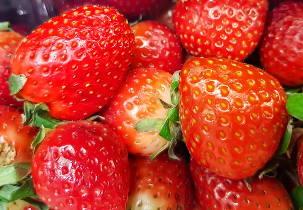 新鲜多汁 美味的有机草莓 草莓红色新鲜浆果和甜多汁的水果 新鲜成熟草莓质感 — 图库照片