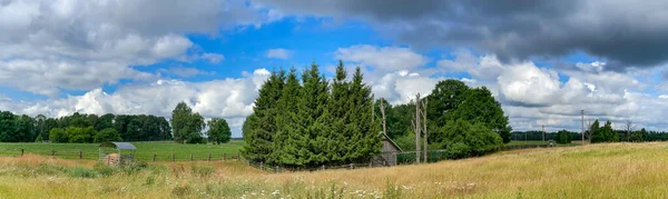 Panorama Pięknego Łotewskiego Krajobrazu Wiejskiego Kwitnącymi Łąkami Ciepły Letni Dzień — Zdjęcie stockowe