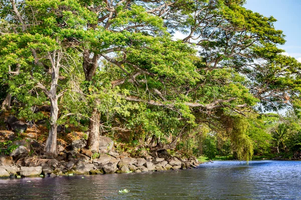 Uno Los Afluentes Del Lago Nicaragua Décimo Lago Agua Dulce —  Fotos de Stock